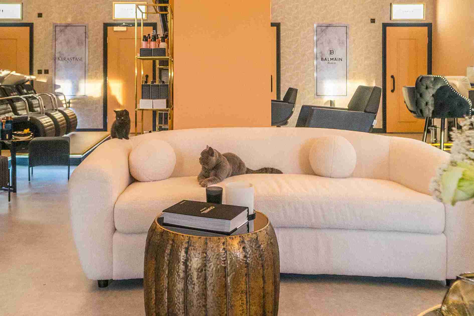 Salon by FKZ luxury lounge area with comfortable white seating